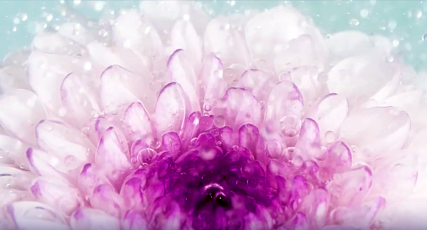 工贸培训案例片