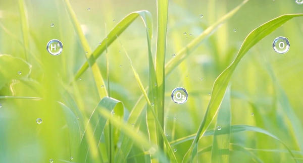氢溪富氢水产品宣传片