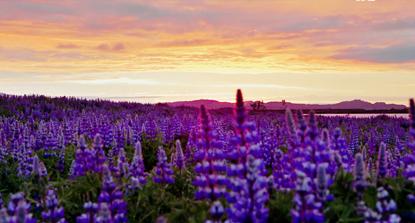 铭康香薰公司专题片